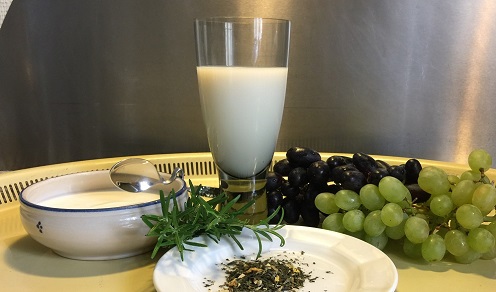 Plant polyphenols are found among others in rosemary, green tea and grapes. Picture: Lene Hundborg Koss