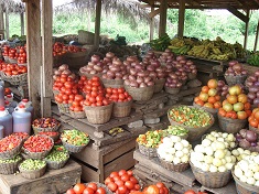 Picture of Raw materials ready for fermentation in Ghana