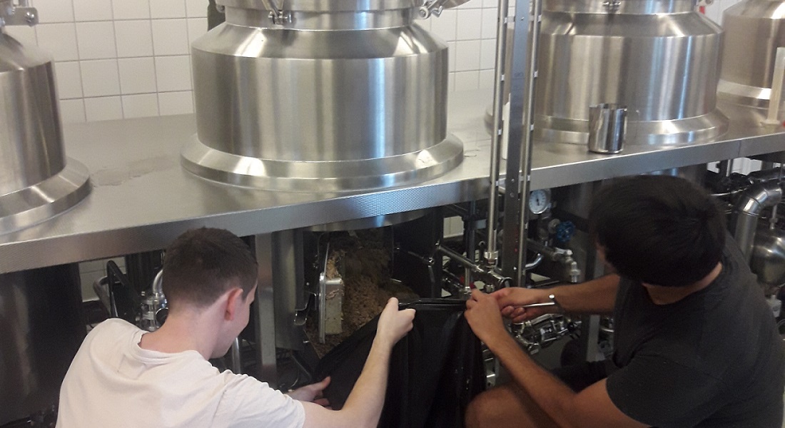 Students brewing beer