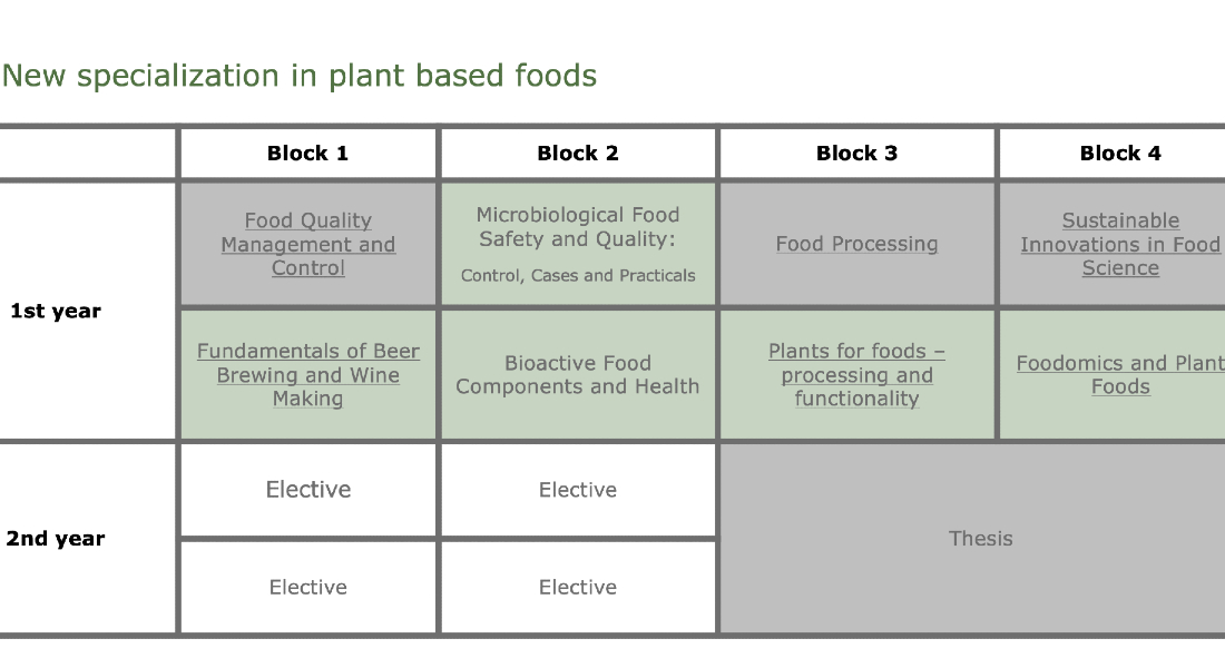 Block illustration of the programme structure