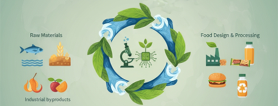 Figure. From raw materials and industrial by-products to sustainable food design and processing From raw materials and industrial by-products to sustainable food design and processing – integrating circular resource use, functionality, nutrition, and environmental assessment.
