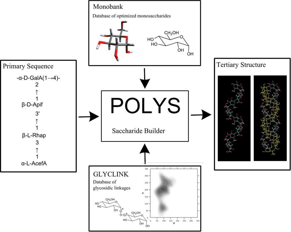 POLYS 2.0