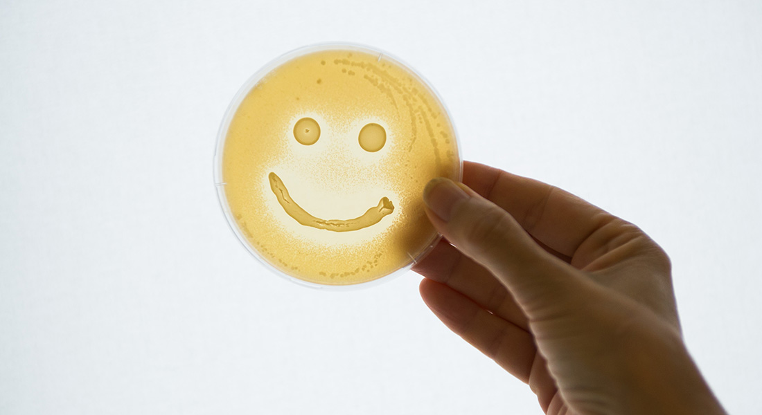 Picture of petri dish with a smiley face