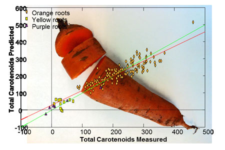 Picture of colour analysis of a carrot