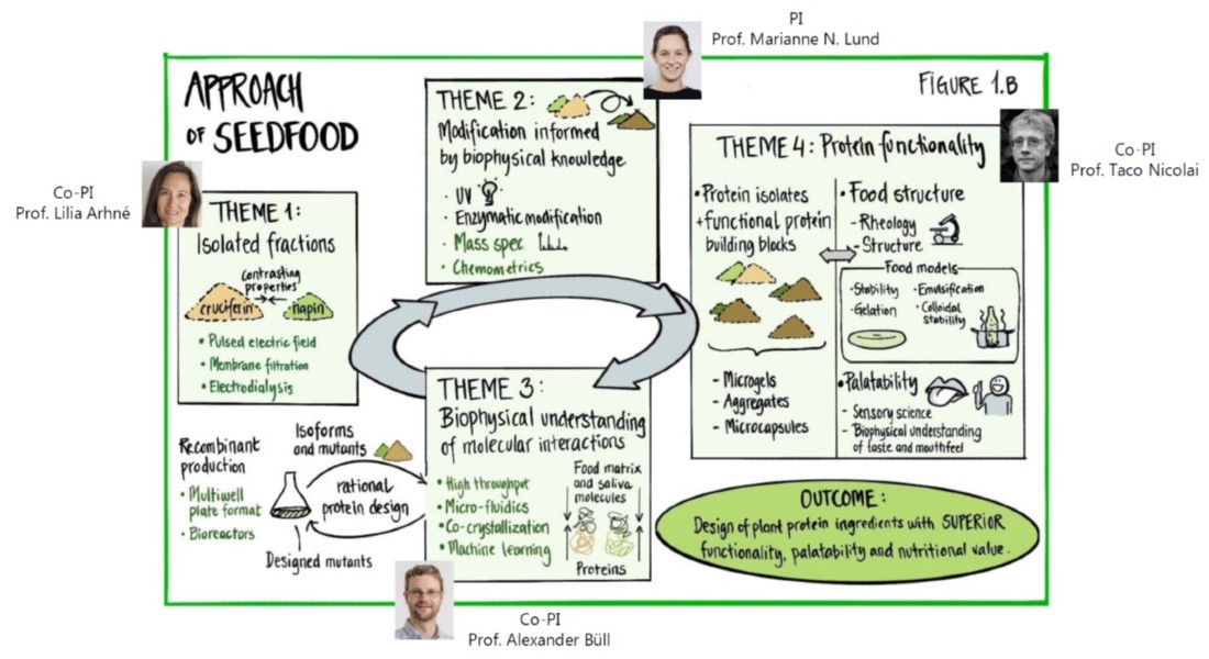 Figure outlining the approach of SEEDFOOD