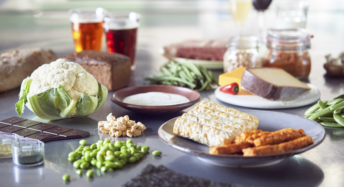 Model of Nutritional Quality