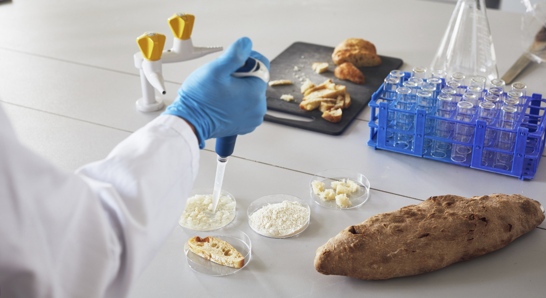 picture of bread and science instruments