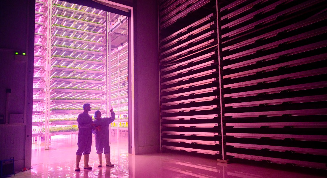 picture of vertical farming station